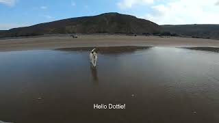 The Lowest Tide at Welcombe Mouth [upl. by Bigler]