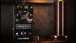 Neunaber Immerse Reverberator MkII  Stereo Demo Use Headphones [upl. by Russi906]