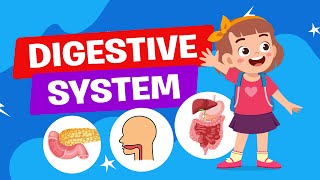 How the Digestive System Works  Science Lesson  Educational Video  Learn Videos  Crash Course [upl. by Neerehs358]