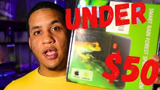 Best Reptile Mister For Less Than 50 Unboxing [upl. by Ahsaeym]