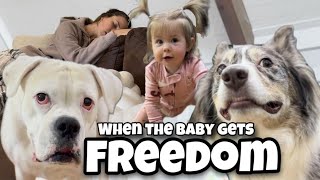 When the Baby Gets Freedom [upl. by Clevey729]