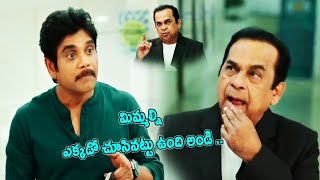 Nagarjuna And Brahmanandam Outstanding Comedy Scenes  Manmadhudu 2 Movie  TFC Movie Scenes [upl. by Paco]