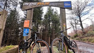 Rostrevor MTB Park [upl. by Aicenert]