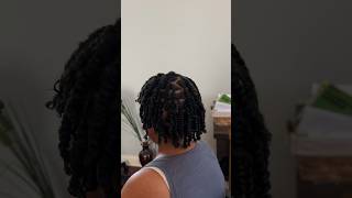 Double strand twist X flattwist💕 music flattwists naturalhair dayinmylife cosmetologist silk [upl. by Ingelbert]