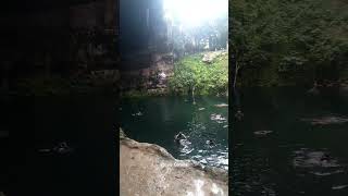 cenote en el centro de valladolid [upl. by Carberry]