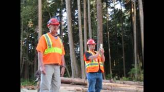 StopIT Nest Protection Action Powell River BC [upl. by Madelina673]