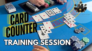 Blackjack Card Counting Training Can You Keep Up [upl. by Alorac823]