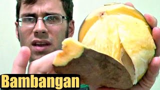 Bambangan Mango Mangifera pajang  Weird Fruit Explorer Ep 165 [upl. by Nigem]