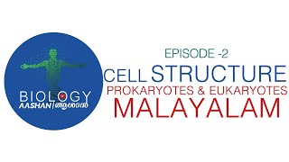 Prokaryotic vs Eukaryotic Cells  Differences Animated [upl. by Demitria20]