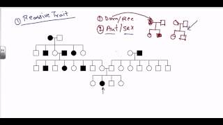 Pedigree analysis  autosomal recessive [upl. by Juliette]