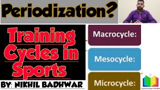 What is Periodization Sports Training Cycle – Micro Meso Macro Cycle [upl. by Fusuy]