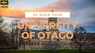 4K HDR UNIVERSITY OF OTAGO  WALK TOUR [upl. by Countess160]