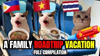 CAT MEMES THE ULTIMATE FAMILY ROADTRIP VACATION [upl. by Ynafetse513]