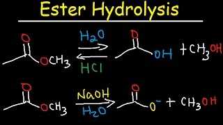 Ester Hydrolysis Reaction Mechanism  Acid Catalyzed amp Base Promoted Organic Chemistry [upl. by Leduar918]