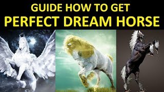 Get PERFECT Dream Horse Guide 100 Guarantee Learn All Skill Crousers Spirit Method [upl. by Simeon]