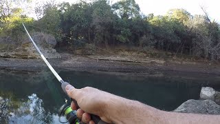 ROOSTER Tail Fishing Austin Greenbelt Fishing Huge Bass in Small Water [upl. by Gunzburg582]