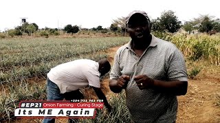 Dryland Onion Farming  Part 4  Curing Stage  Its ME Again Elder EM  Smart Farming in Kenya [upl. by Burnham]