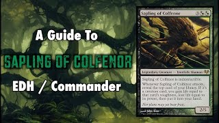 MTG  Treefolk Tribal  A Guide To EDH  Commander Sapling of Colfenor for Magic The Gathering [upl. by Marcellus]