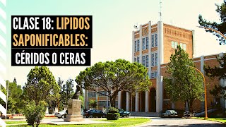 Lípidos Saponificables Céridos o Ceras [upl. by Fricke]