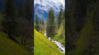 Beautiful Mountain Village of Murren switzerland lauterbrunnen mürren swissnature swissbeauty [upl. by Richey]