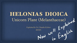 Helonias Dioica  Allen’s Keynotes  Now Well Explained in English [upl. by Harikahs614]