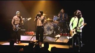 Red Hot Chili Peppers  By the Way  Live at Olympia Paris [upl. by Aleemaj]