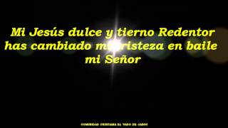 Mi Jesús  Juan Luis Guerra  letra [upl. by Acinimod734]