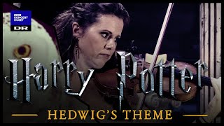 Hedwigs Theme  Harry Potter  Danish National Symphony Orchestra Live [upl. by Brien]