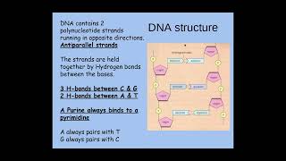 213 Nucleotides and Nucleic Acids d iThe structure of DNA [upl. by Presber674]