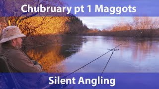 Winter River Fishing UK Wye Chub maggot feeder tips rigs tackle silent angling [upl. by Barri]