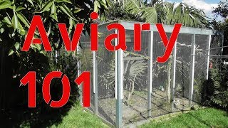 Outdoor Aviary 101  Tips on Building a Large Aviary Outdoors [upl. by Janet242]