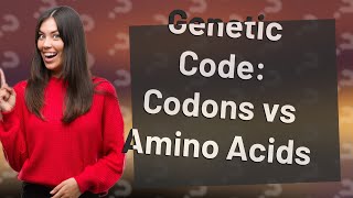 How many codons equals 1 amino acid [upl. by Nwahsar]