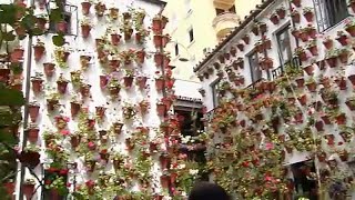 Flores y encanto en la Fiesta de los Patios de Córdoba [upl. by Llenaej738]