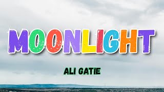 Ali Gatie  Moonlight Lyrics [upl. by Cacilie]