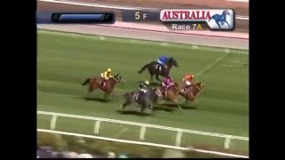 Chautauqua  Lighting Stakes 2016 [upl. by Leon]