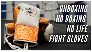 NO BOXING NO LIFE 10 OZ FightGlove Be Cool Like Canelo sort of [upl. by Prior]