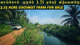 375 ACRE COCONUT FARM FOR SALE  375 ஏக்கர் அழகிய தென்னந்தோப்பு விற்பனைக்கு realestate best [upl. by Blase]