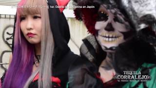 第1回日本カトリーナパレード 1ER DESFILE DE LA CATRINA EN JAPON [upl. by Dranyer737]