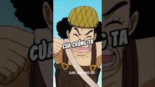 Cuộc chiến giữa băng Mũ Rơm vs Shichibukai anime onepiece luffy [upl. by Eidda]