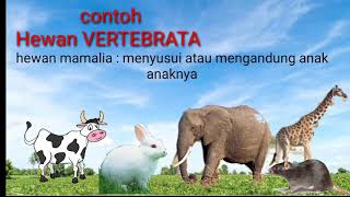 Hewan Vertebrata dan Invertebrata Materi IPA kelas 5 [upl. by Zennie721]