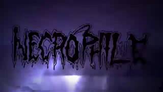 NECROPHILE Japan  quotAwakening Those Oppressedquot CD  Trailer [upl. by Enel122]