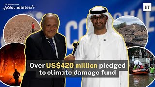 Climate loss and damage fund to help poor nations approved at COP28 [upl. by Sadinoel]