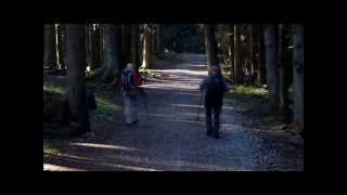 Hiking tour Zwiesel Bavaria [upl. by Enitsej501]