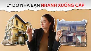 Nhà NHANH XUỐNG CẤP Vì những Lý Do này [upl. by Myrtia605]