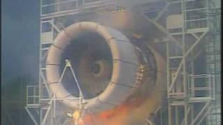 Bird Strike Jet Engine Test [upl. by Aprilette960]