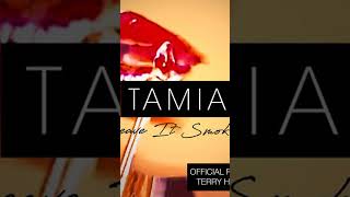 Tamia  Leave It Smokin  Silky Soulsh [upl. by Yelraf]