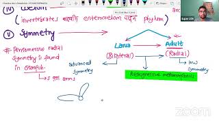 PHYLUM ECHINODERMATA [upl. by Drew]