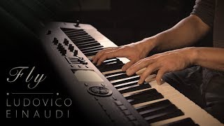 Fly  Ludovico Einaudi \\ Jacobs Piano [upl. by Eanaj]