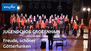 Jugendchor Großenhain singt quotFreude schöner Götterfunkenquot [upl. by Eilyab]