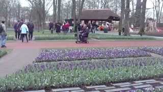 Najpiękniejsze Ogrody Śwata  Keukenhof Holandia 2 [upl. by Sialac41]